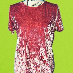 Women’s Pink 14th & Union Velvet Crop Top (Size M)